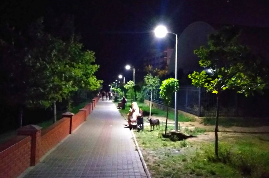68842623_2078373935602291_3941207173589106688_n-копия