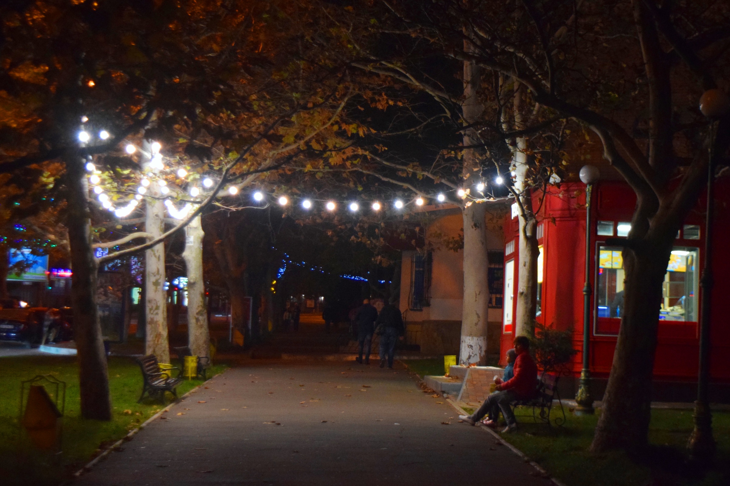 dsc_0405-6