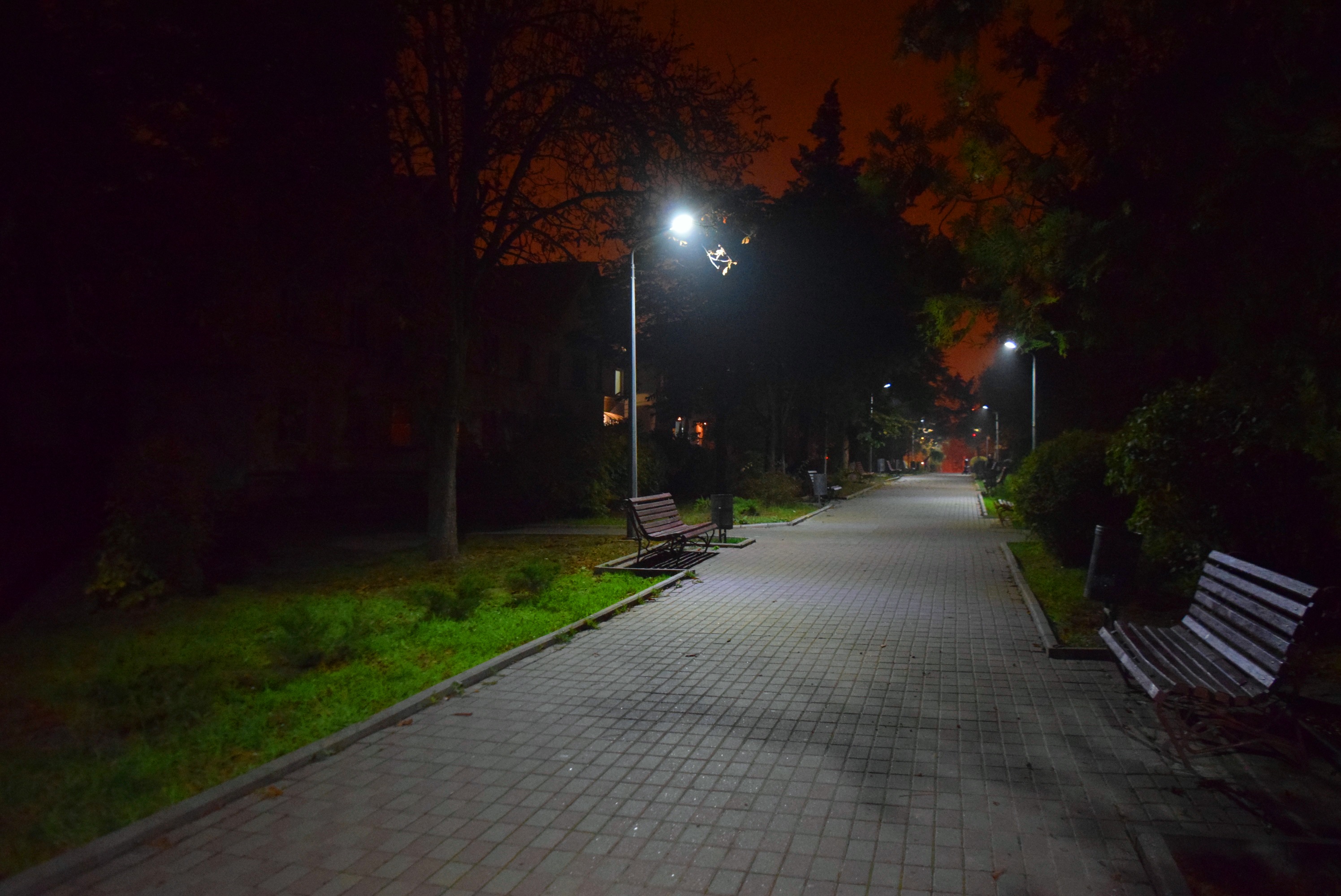 dsc_0384-3