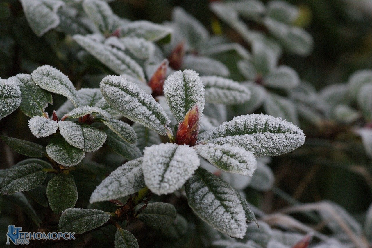 winter-1099609_1280