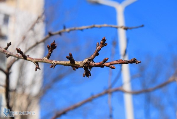dsc_1301-2