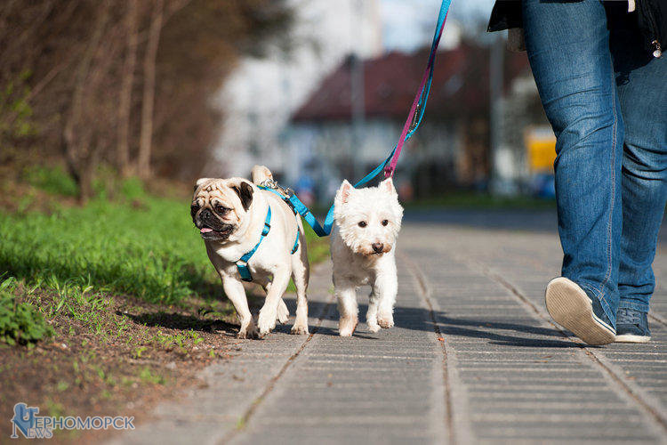 shutterstock_403161805-1