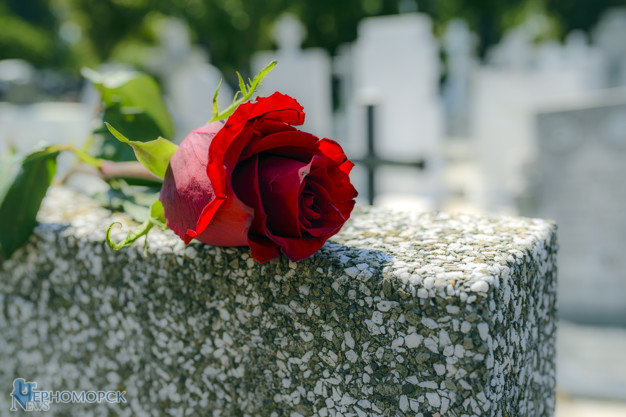 rose-in-a-cemetery-with-headstone