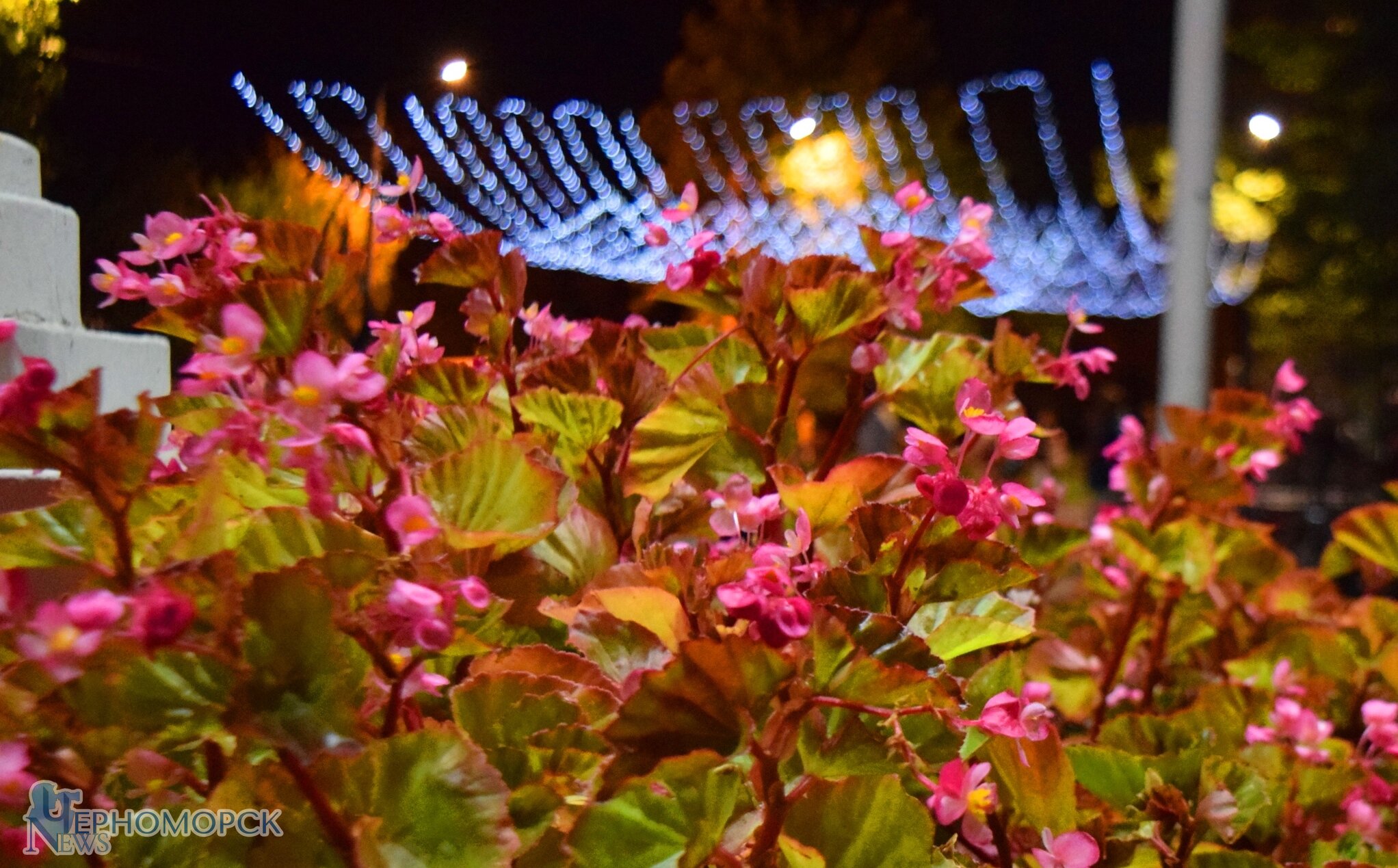 dsc_0076-5